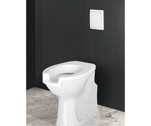 Inodoro Prestowash 720 fluxor inox con asiento