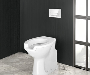 Inodoro con cisterna empotrada doble descarga pulsador cromo brillo y asiento-tapa
